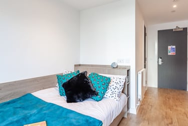 Bronze En Suite at Pavilion Point, 118-132 London Road, The Level, Brighton, BN14JH - Image 1